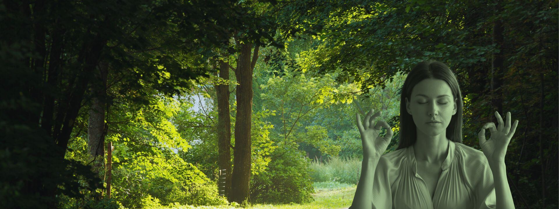 Deine Oase gegen den Stress des modernen Lebens
